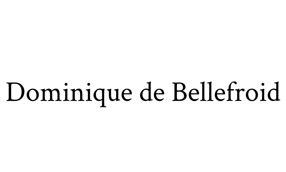 Dominique de Bellefroid
